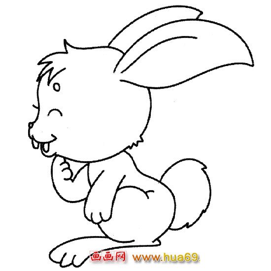 简笔画【漂亮的兔子】2