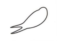 燕子简笔画步骤图解教程