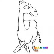 动物简笔画：一只骆驼4