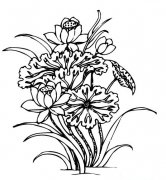 最新莲花简笔画