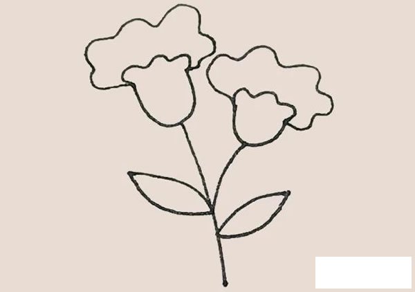 鸡冠花简笔画的画法步骤图