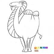 动物简笔画：一只骆驼3