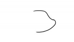 可爱的小猪简笔画步骤图解教程