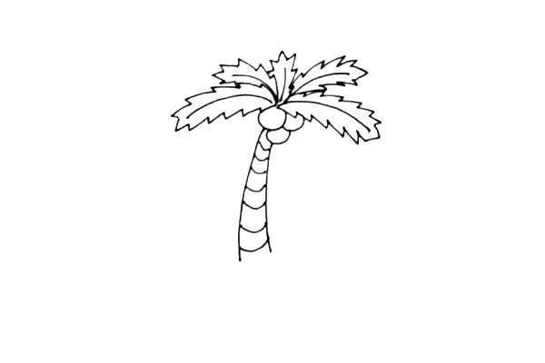 椰子树简笔画步骤图