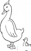 鸭妈妈与小鸭子简笔画