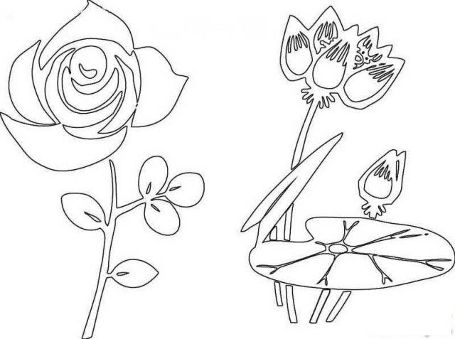 简笔画别样荷花的具体画法步骤图片教程