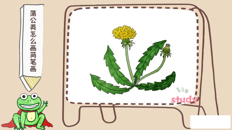 蒲公英怎么画简笔画