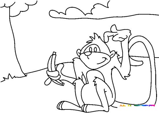 动物简笔画：调皮的小猴子5