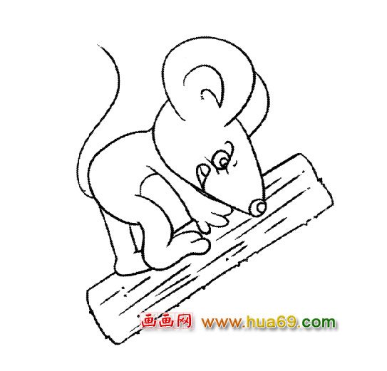 动物简笔画(老鼠)3