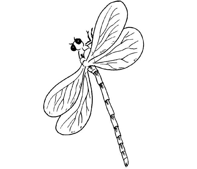 竹蜻蜓简笔画图片