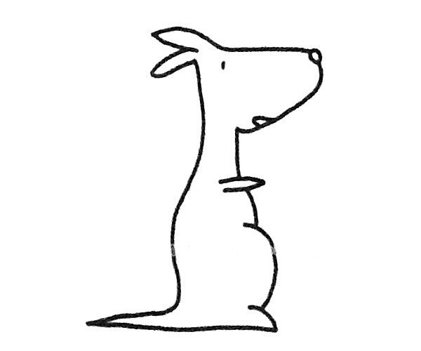 6款卡通袋鼠简笔画图片