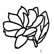简单的茉莉花简笔画图片