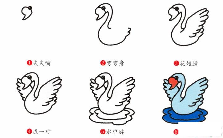 简笔画天鹅的具体步骤图示