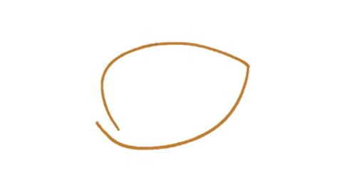 马蹄莲简笔画图片