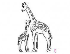 可爱的长颈鹿简笔画图片大全
