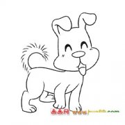 玩耍的小狗│简笔画5