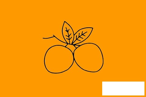 荔枝简笔画图片