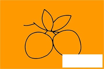 荔枝简笔画图片