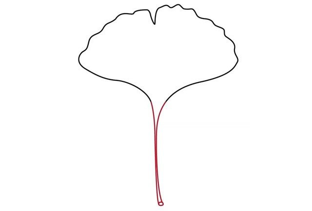 银杏叶简笔画