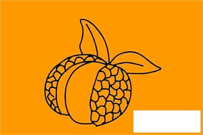 荔枝简笔画图片