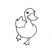 鸭子的画法9