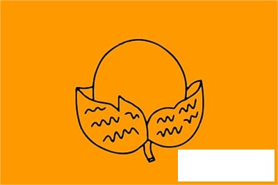 荔枝简笔画图片