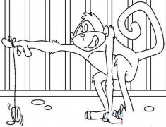 幼儿猴子简笔画:玩溜溜球的猴子