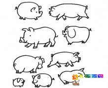 各种形状的小猪的简笔画