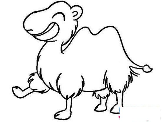 可爱小骆驼简笔画