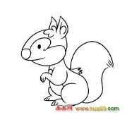 简笔画│生气的小松鼠4