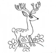 骄傲的梅花鹿简笔画画法_怎么画骄傲的梅花鹿