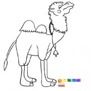 动物简笔画：一只骆驼1