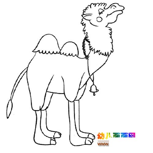 动物简笔画：一只骆驼1