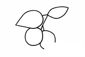 山楂简笔画图片