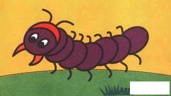 蜈蚣彩色简笔画图片