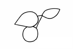 山楂简笔画图片