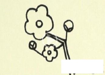 简笔画笑面桃花的具体画法步骤图片教程