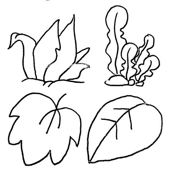 树叶简笔画图片大全