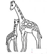 一对长颈鹿母子简笔画