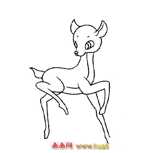 动物简笔画:抬脚的小梅花鹿