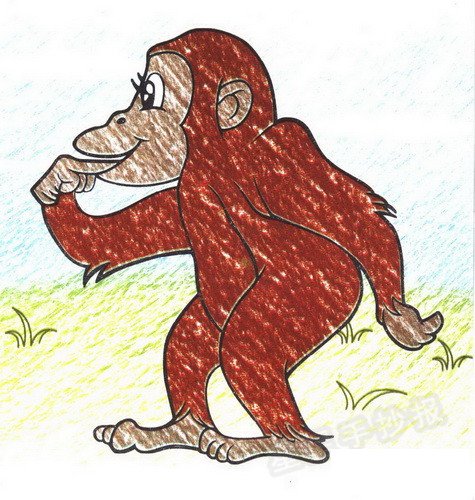 黑猩猩简笔画图片