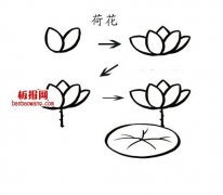 荷叶荷花简笔画