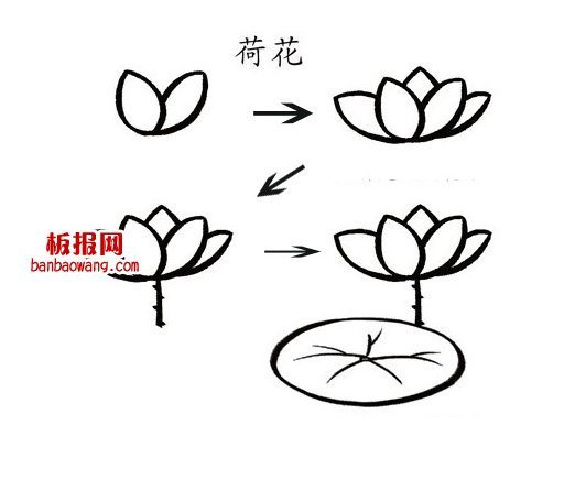 荷叶荷花简笔画