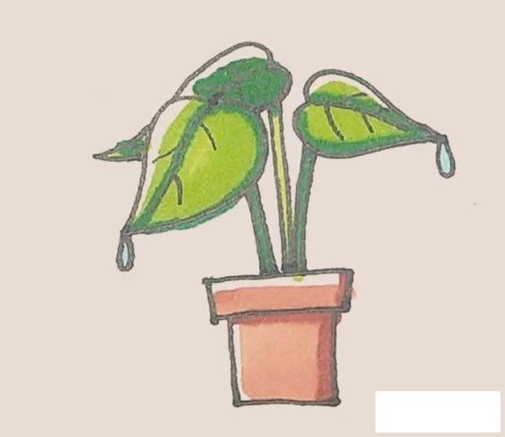 滴水观音简笔画的画法步骤图