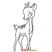 动物简笔画：回头的小梅花鹿