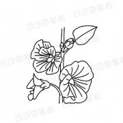 蜀葵花的简单画法