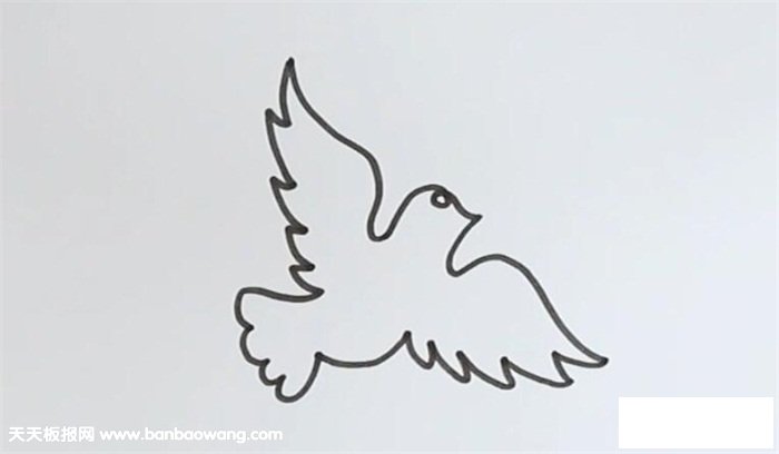 一笔巧画鸽子方法