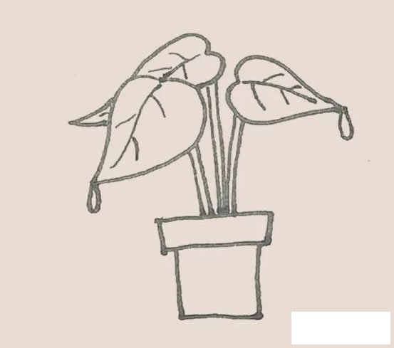 滴水观音简笔画的画法步骤图