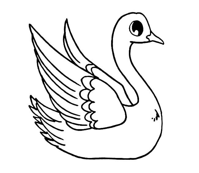 可爱的大白鹅简笔画图片