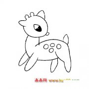 动物简笔画：可爱的小梅花鹿